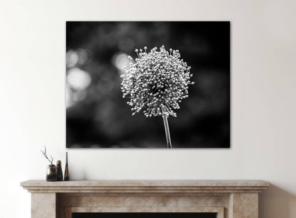 Travel nature flower garden photography canvas print on wall