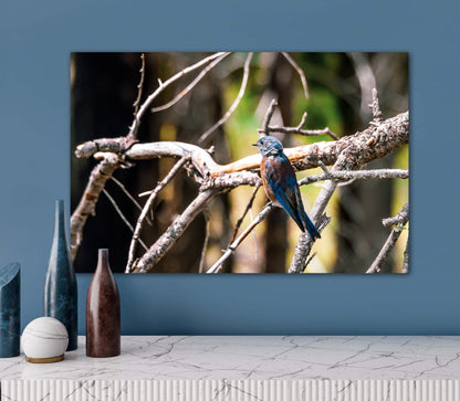 Nature bird travel photography canvas print on wall