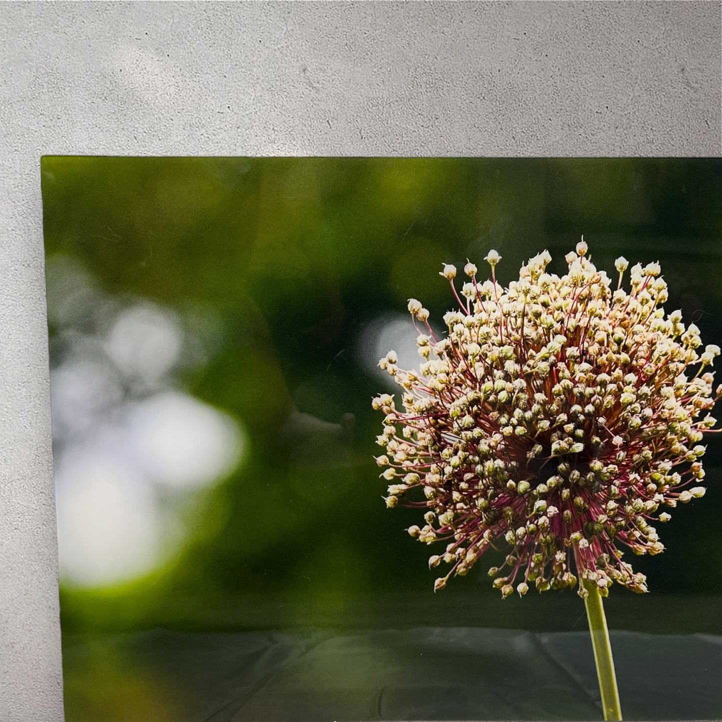 Travel nature flower garden photography acrylic print