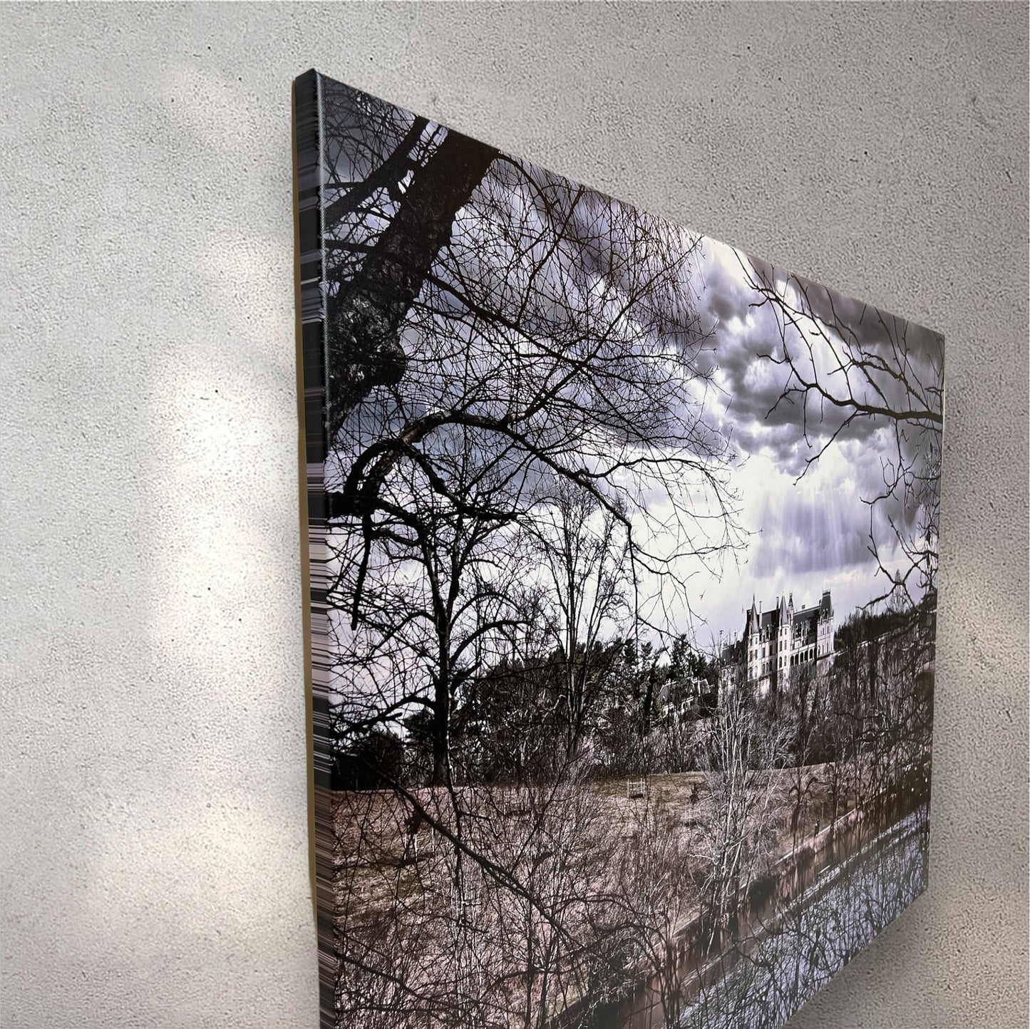 Travel Biltmore Estate photography canvas print side view