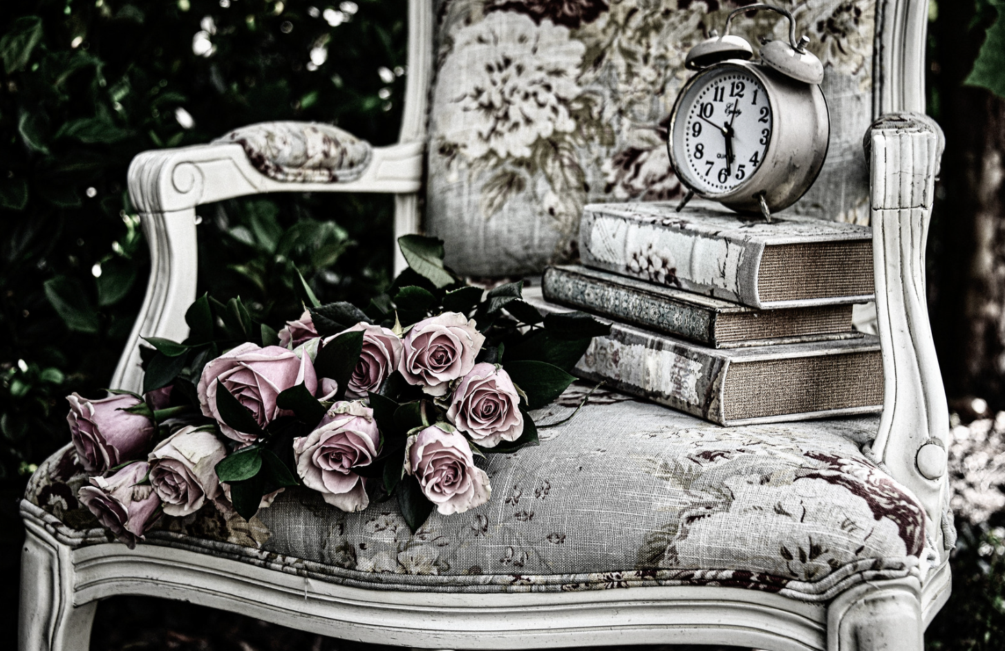 Photography of pink roses on an antique chair
