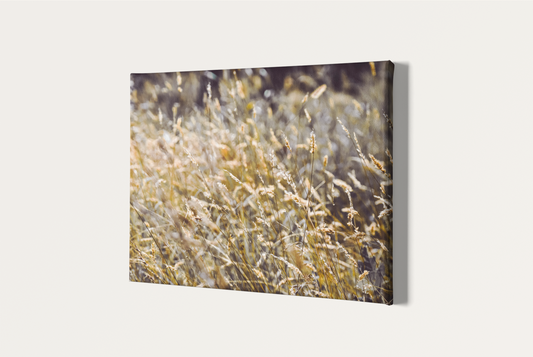Travel nature grass photography print canvas