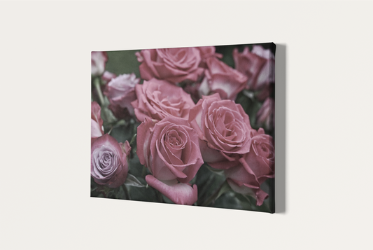 Pink roses photography canvas print