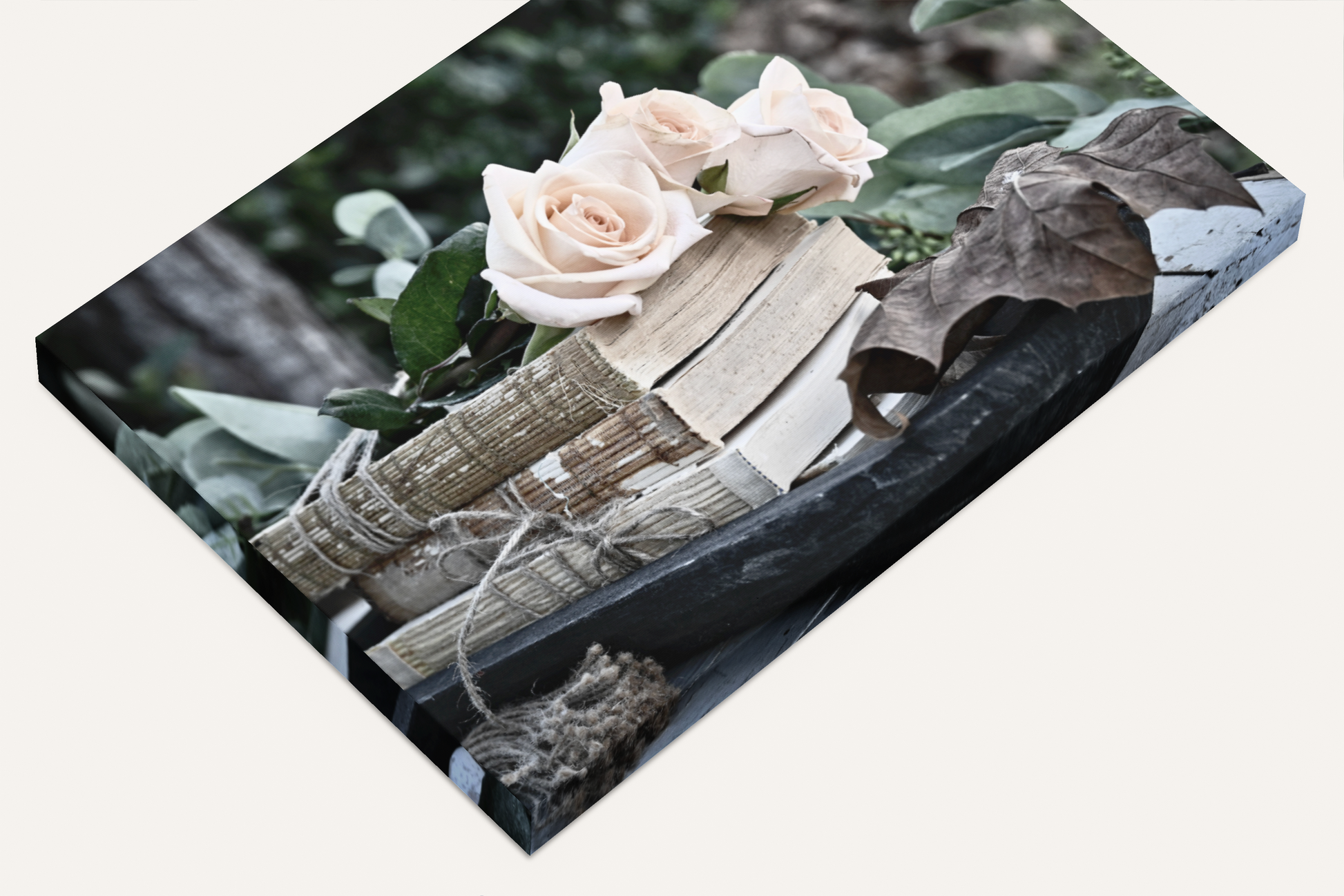 Roses and book shabby chic photography canvas print