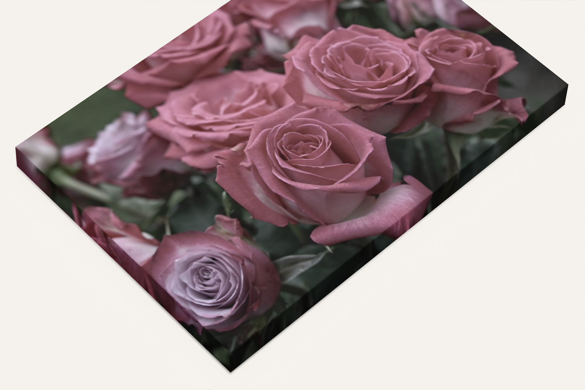 Pink roses photography canvas print