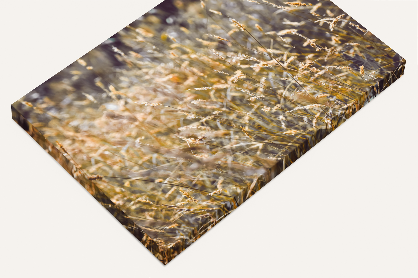 Travel nature grass photography print canvas side view