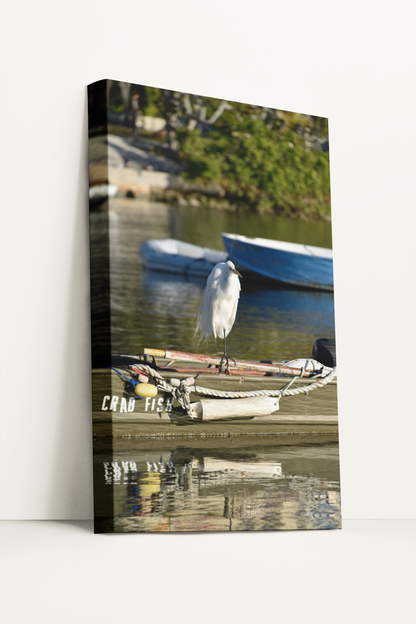 Nature bird on the water and boat photography canvas print