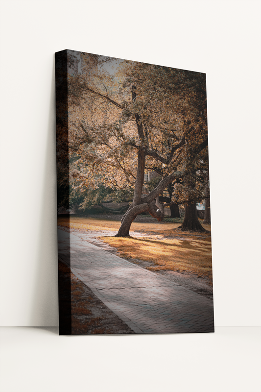 Travel nature fall foliage photography canvas print