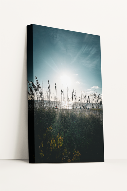 Travel ocean beach grass photography canvas print