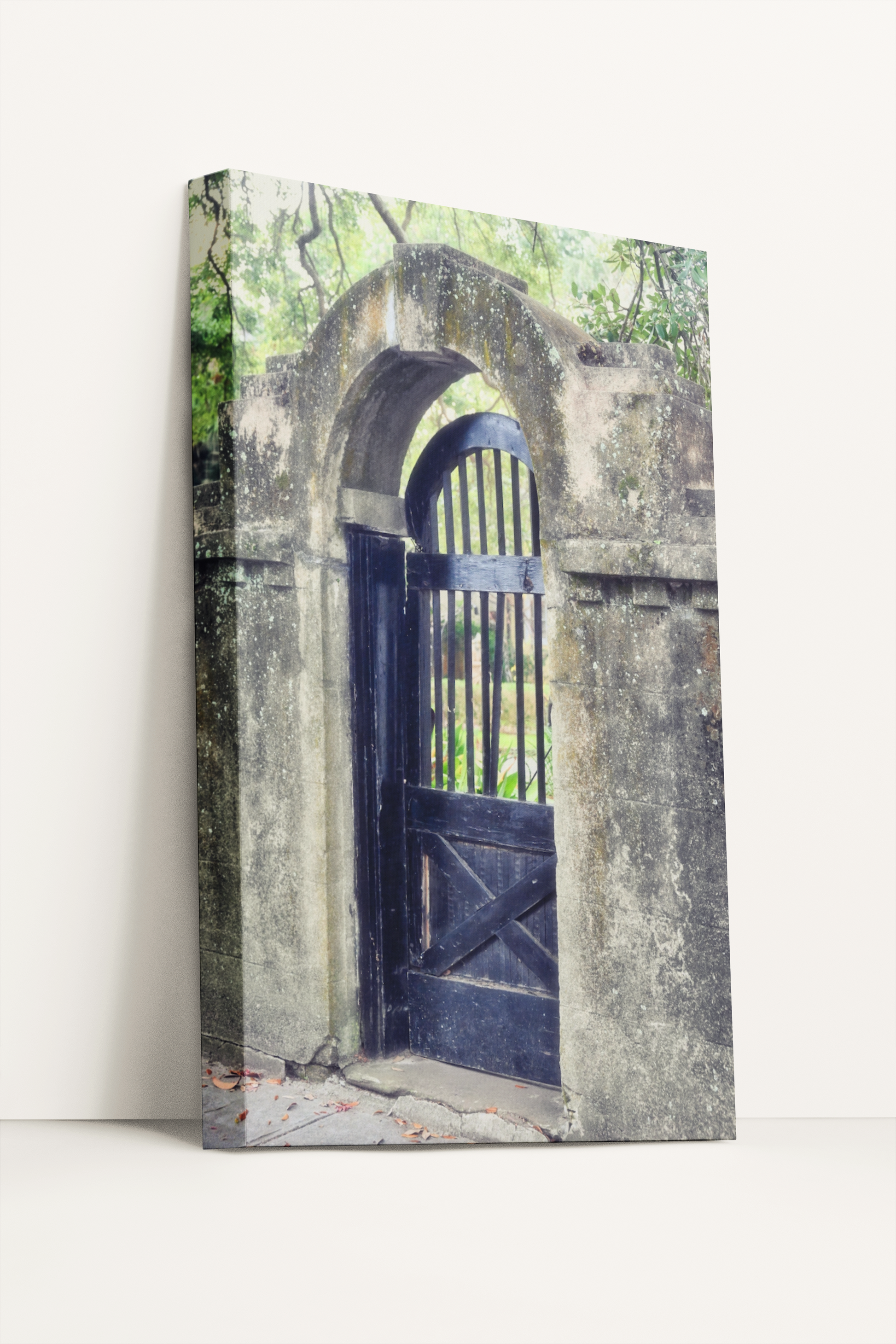 Travel gate Charleston photography canvas print