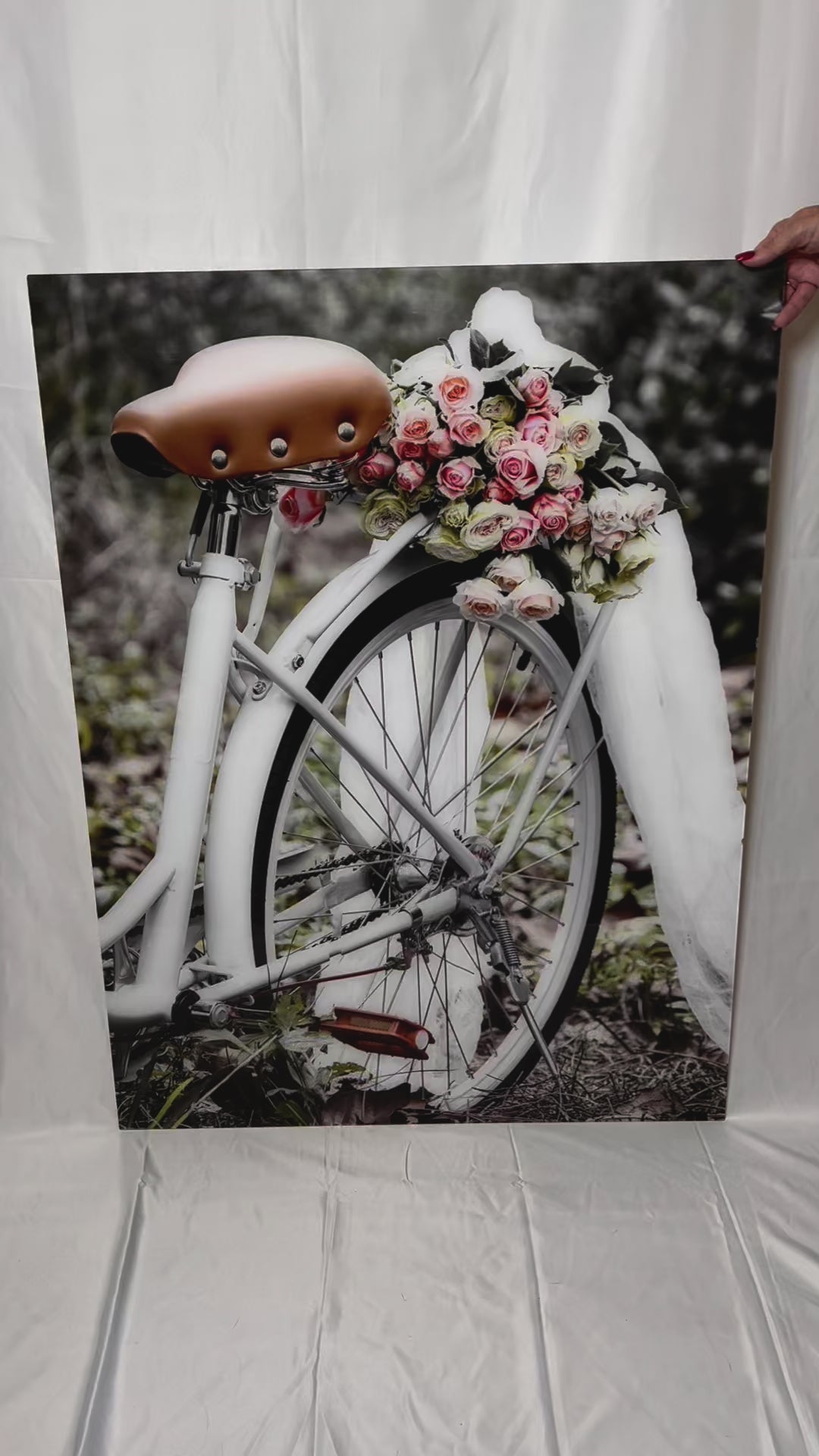 Antique bicycle with roses photography acrylic print video preview